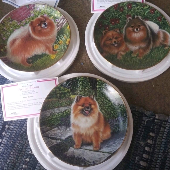 Plates( Pomeranian ) - Picture 2 of 5